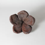 tamb-iima-etce-0001