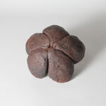 tamb-iima-etce-0001