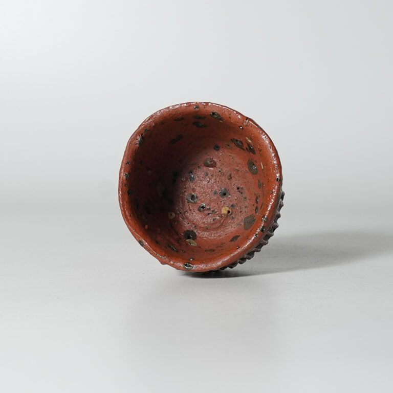 tamb-iima-shuk-0002