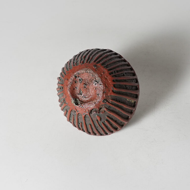 tamb-iima-shuk-0004