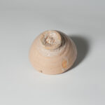 iiga-suhi-shuk-0087