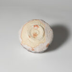 iiga-suhi-shuk-0088