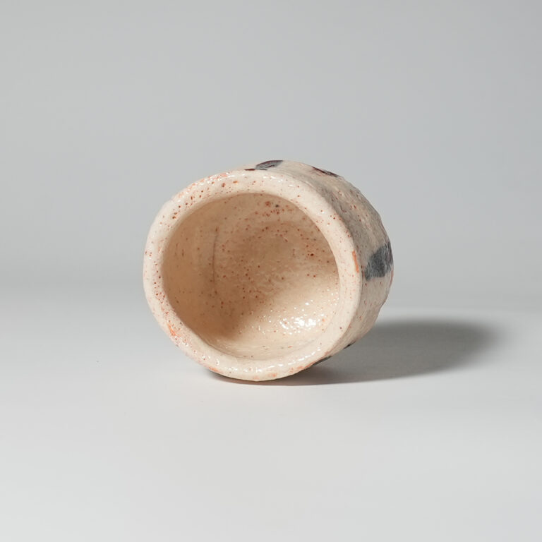 iiga-suhi-shuk-0090