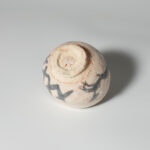 iiga-suhi-shuk-0091