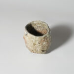 iiga-tata-shuk-0061