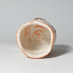 mino-sush-cups-0034