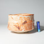 mino-sush-teat-0033