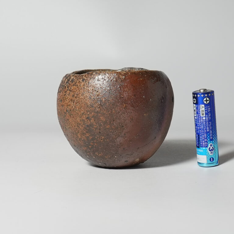 bize-iiko-shuk-0004